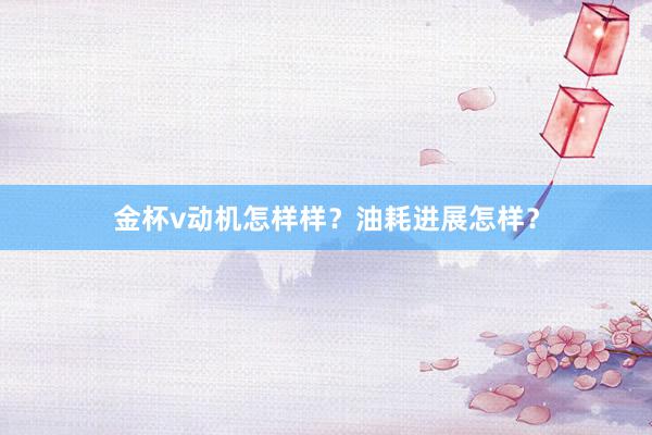 金杯v动机怎样样？油耗进展怎样？
