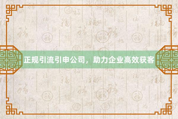 正规引流引申公司，助力企业高效获客