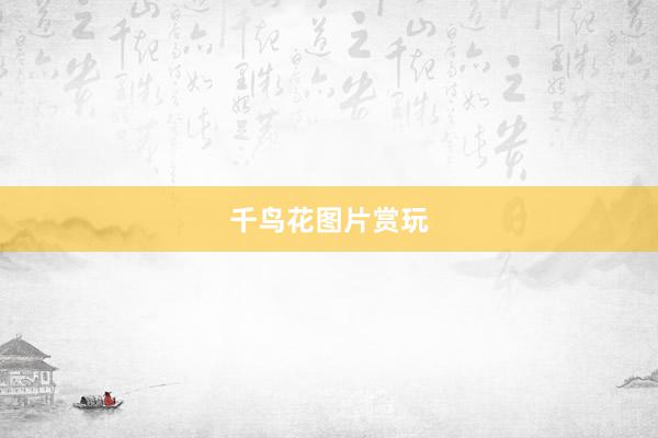千鸟花图片赏玩